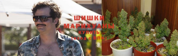 ECSTASY Алзамай