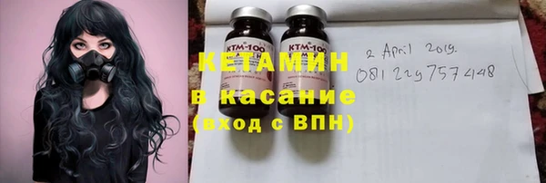 прущие грибы Алексеевка