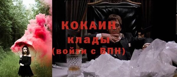 ECSTASY Алзамай